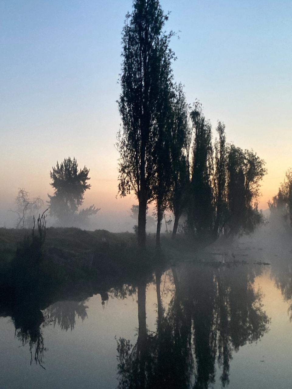 The canals of Xochimilco at dawn
