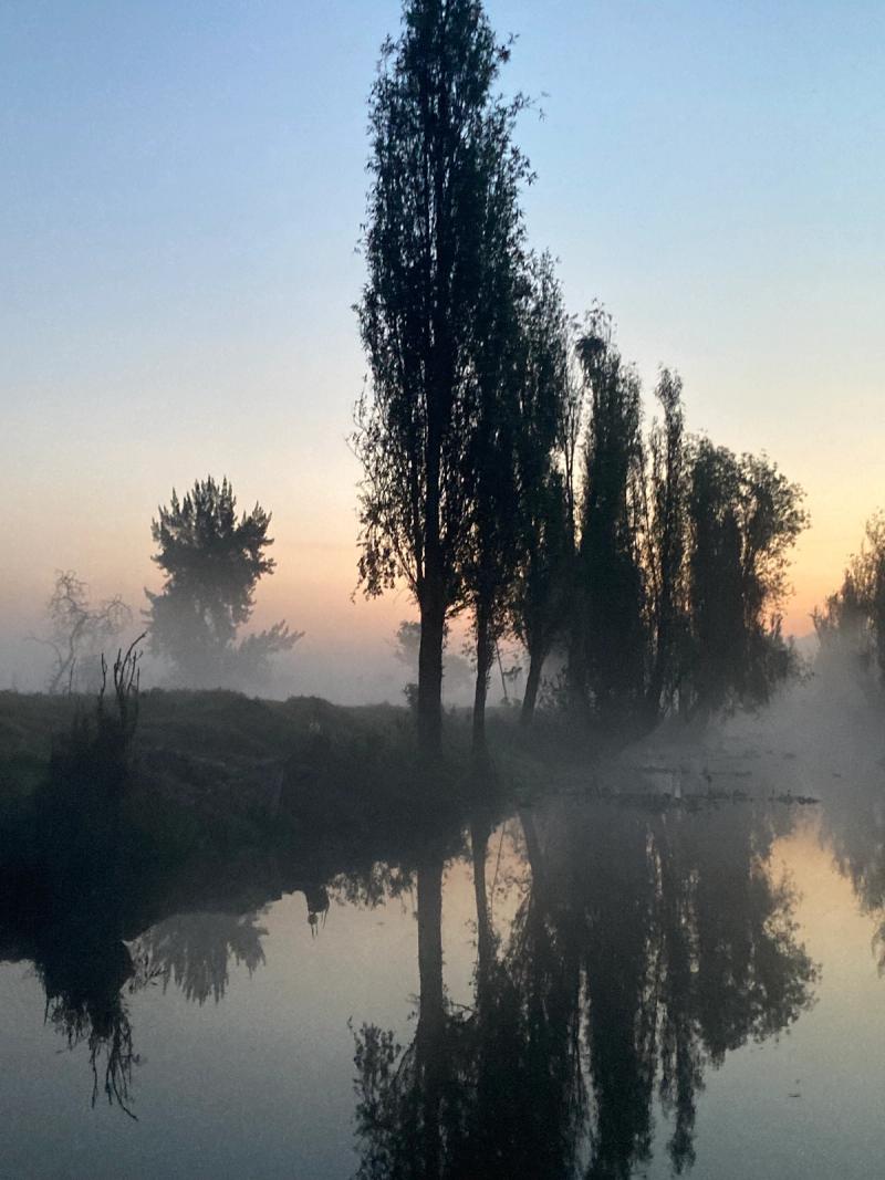 The canals of Xochimilco at dawn