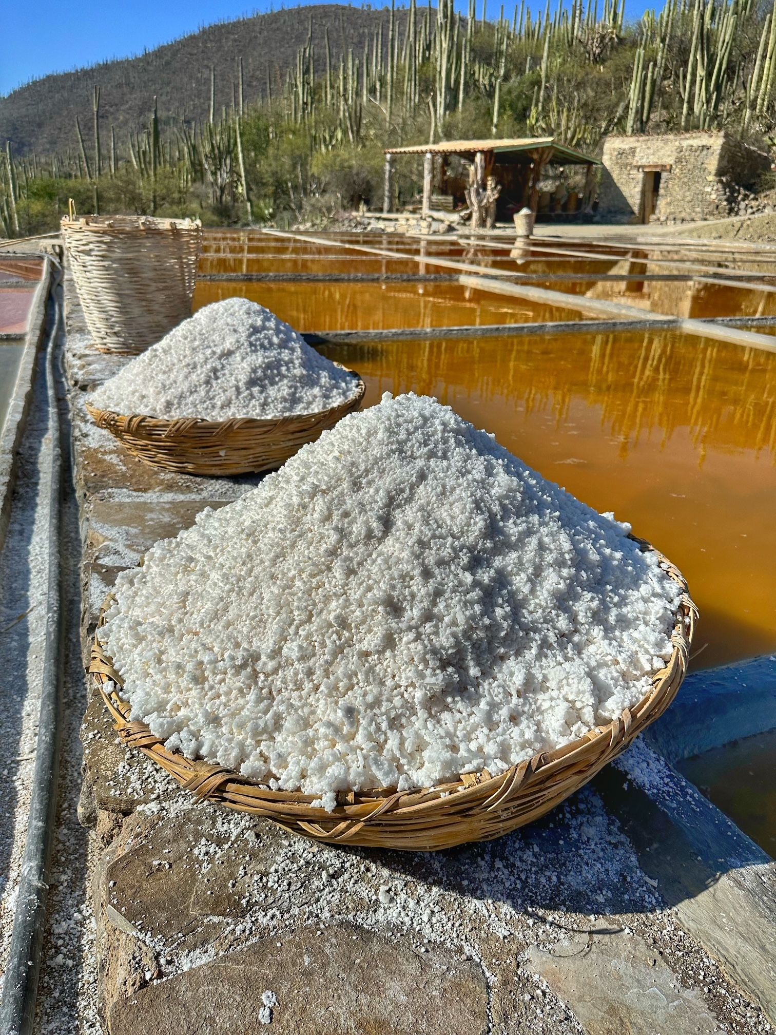 Salineras con cestos