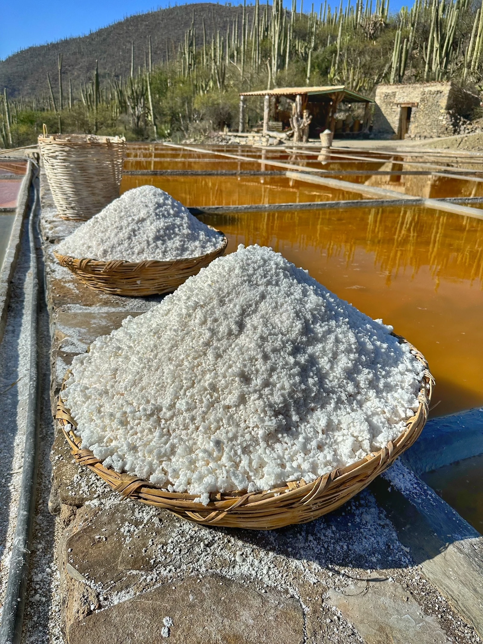 Salineras con cestos