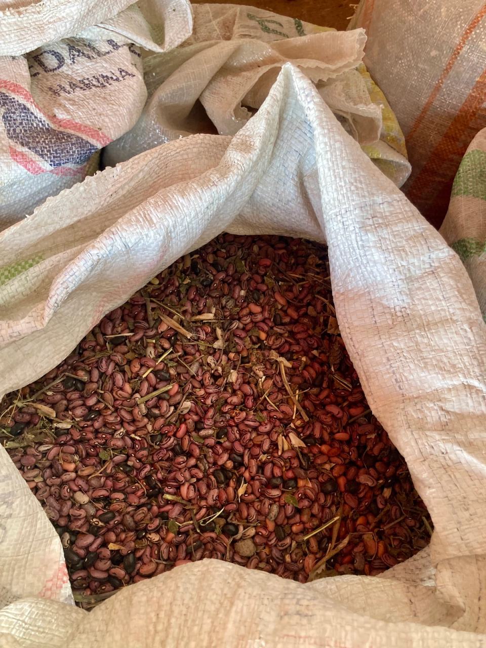 Traditional San Francisco bean before cleaning