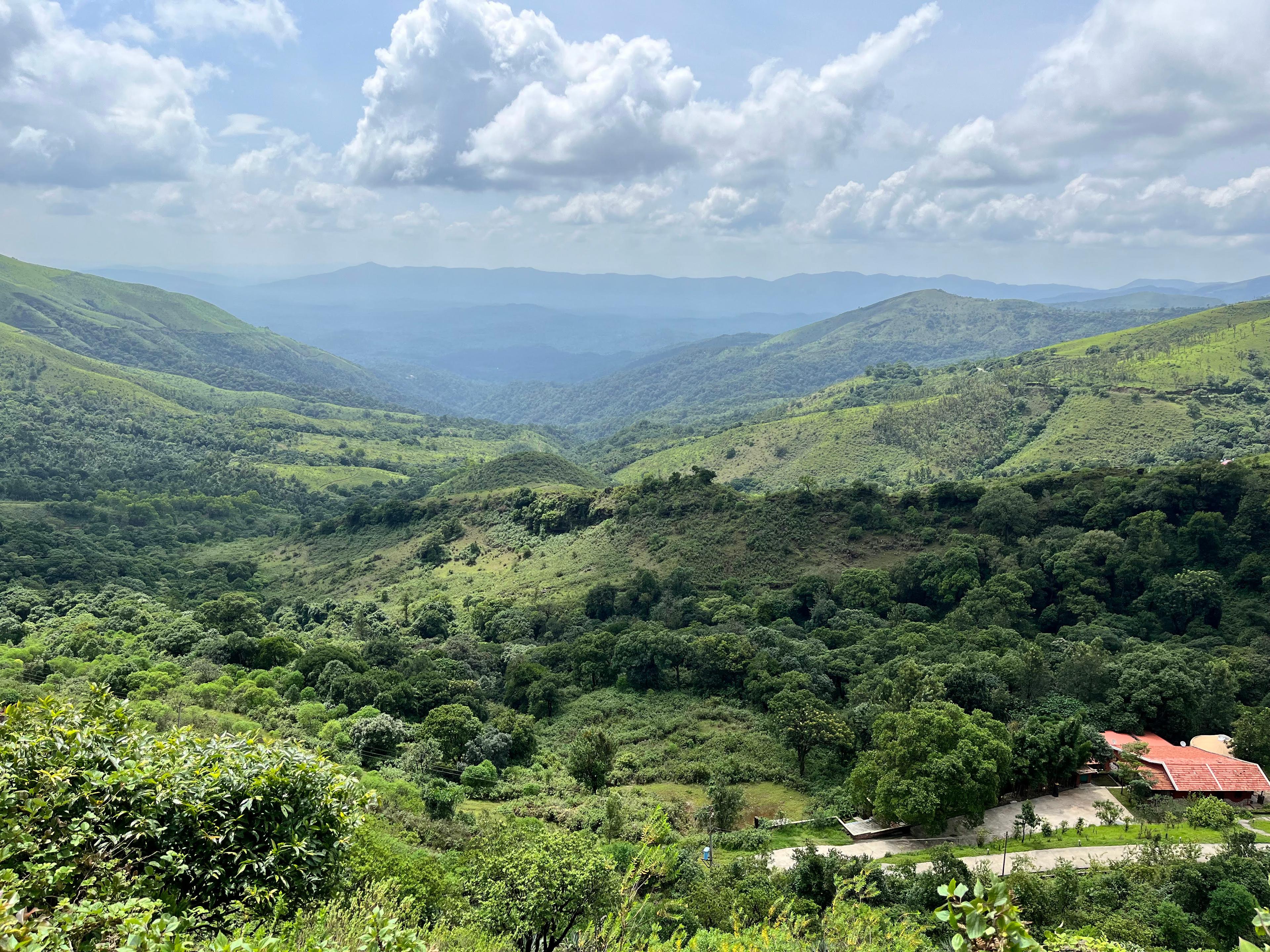 Way to Mullayanagiri Peak