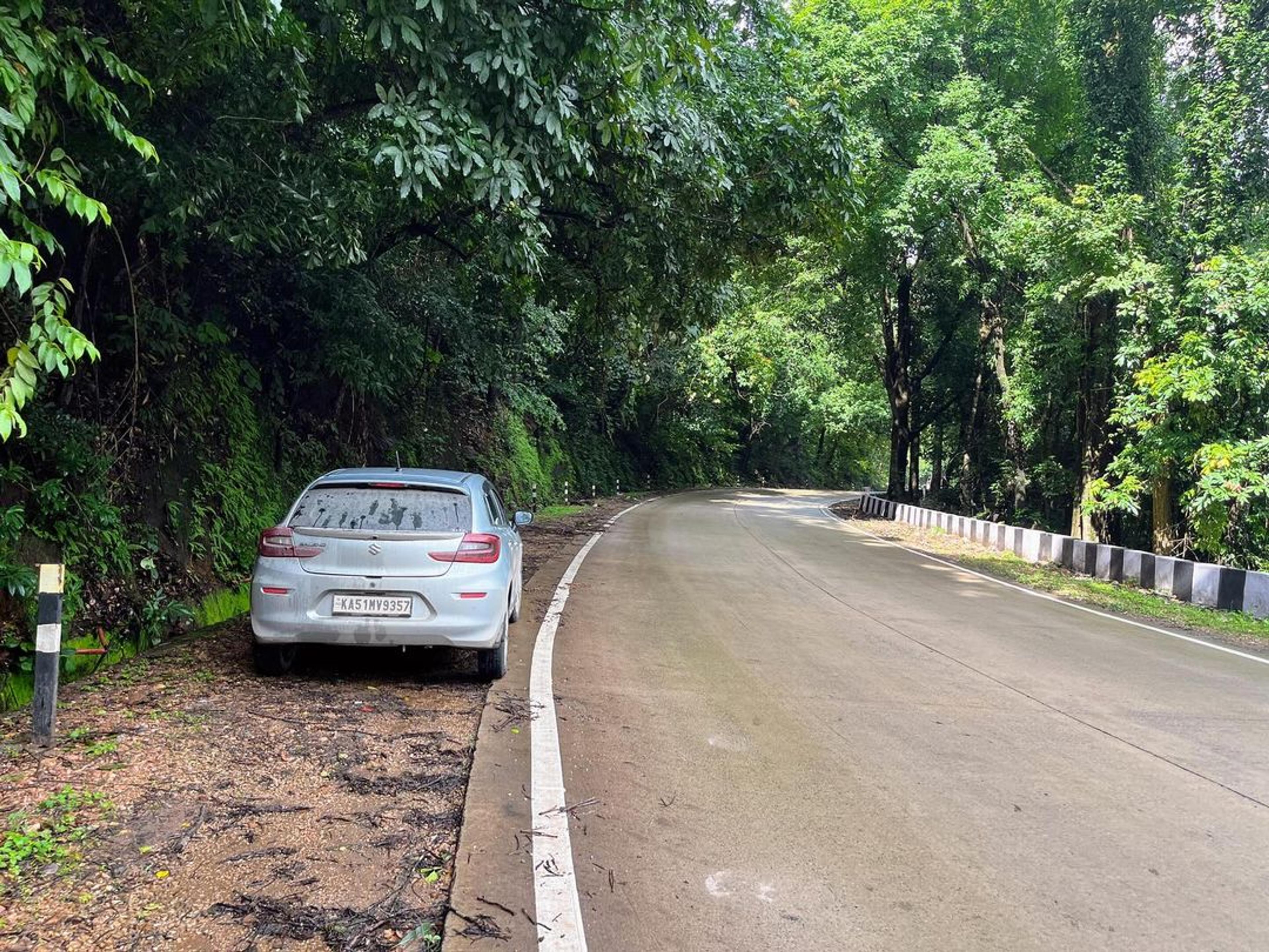 Image of a car in a forest of Chikmagalur