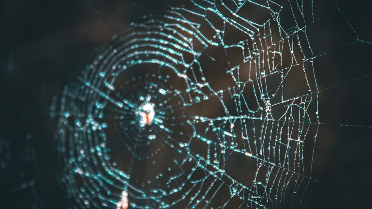 The Long Arm of the Law Reaches the Dark Web: 30 Years for an 'Incognito' Blockchain Drug Kingpin