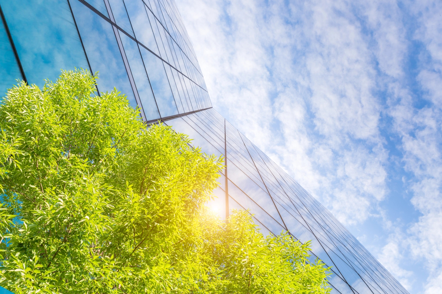 smart glass sustainability and affordability