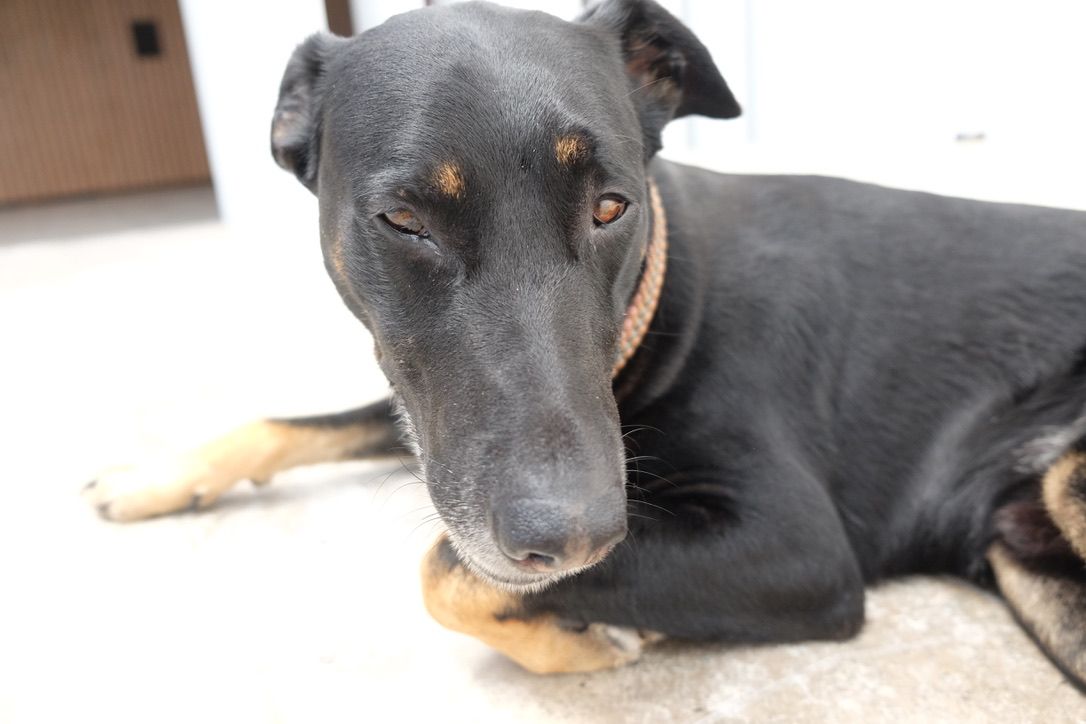 Mira und die Maus – Behind the Scenes Foto 3