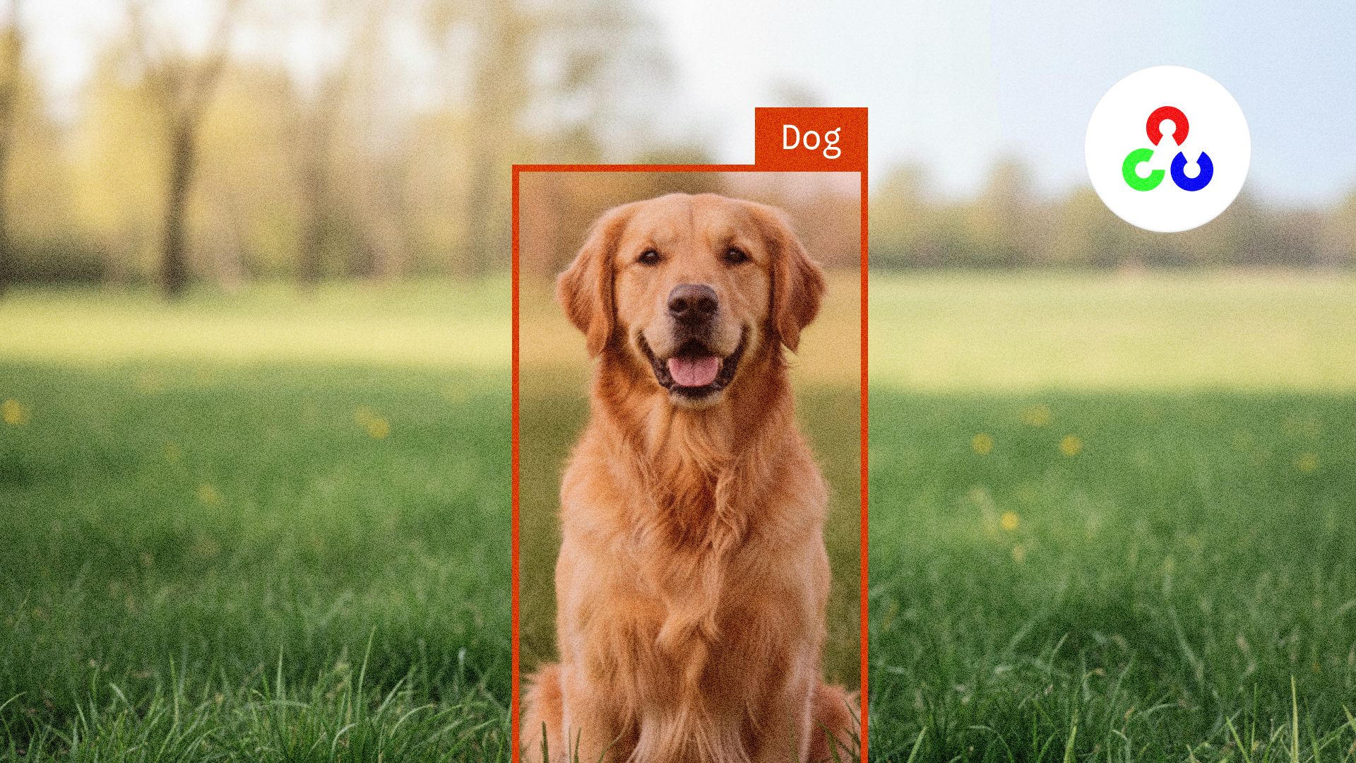 Getting started with OpenCV in Python