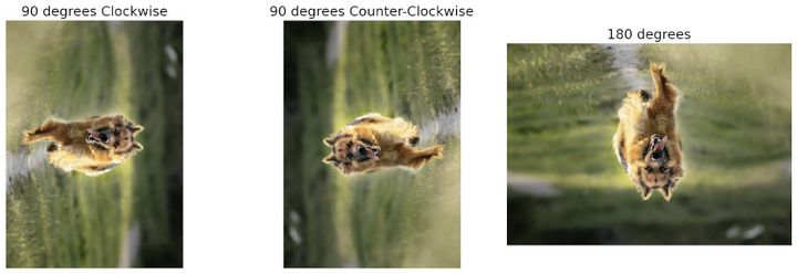 Rotated images, 90-right, 90-left, 180 degrees.