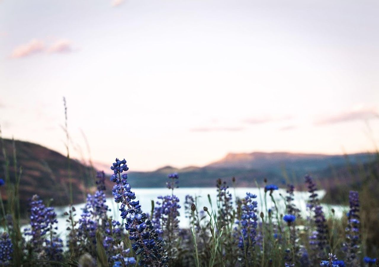 Photo of Inn at the Gorge