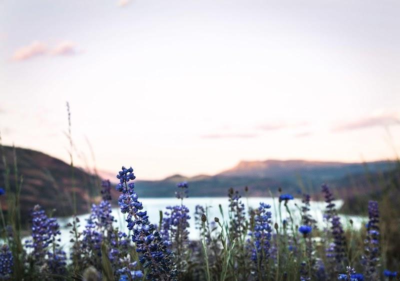 Photo of Inn at the Gorge