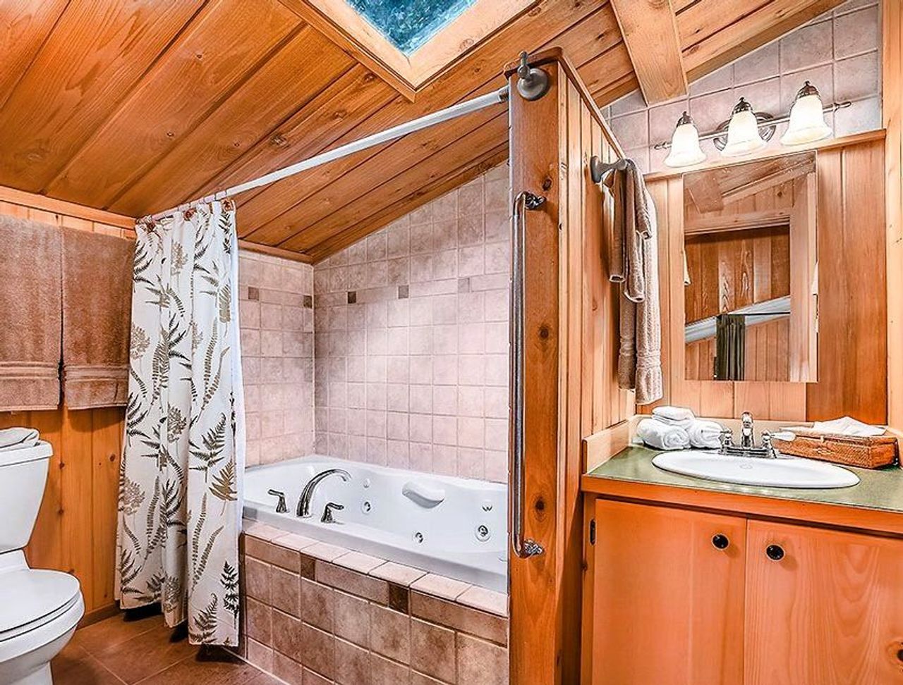 Photo of Deep Forest Cabins - Maplewild Cabin, Indoor two‑person jetted tub with skylight view