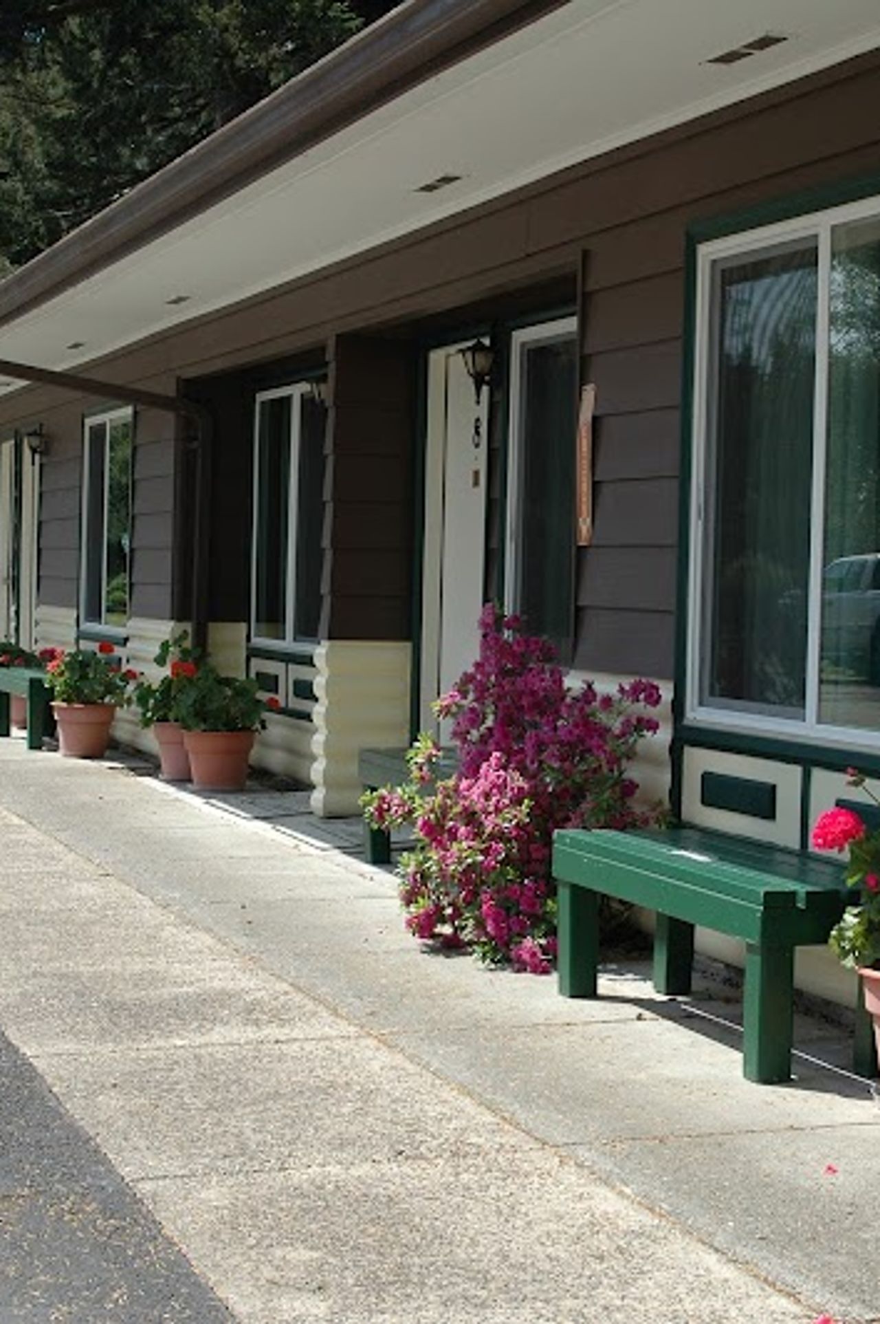 Photo of Park Motel and Cabins