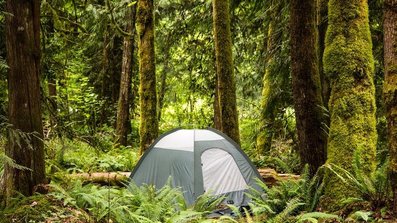 Photo of Mt Hood Village Campground
