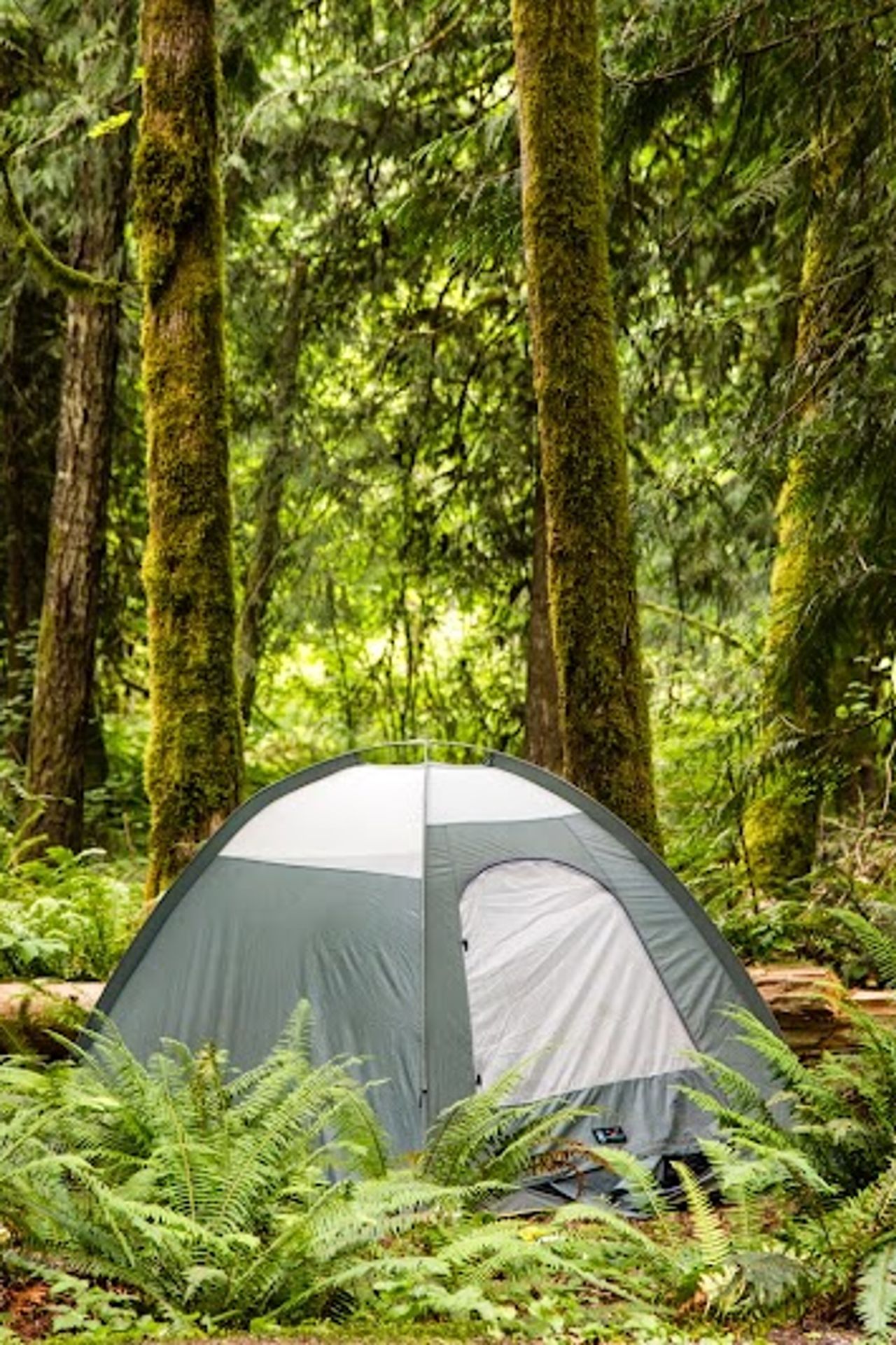 Photo of Mt Hood Village Campground