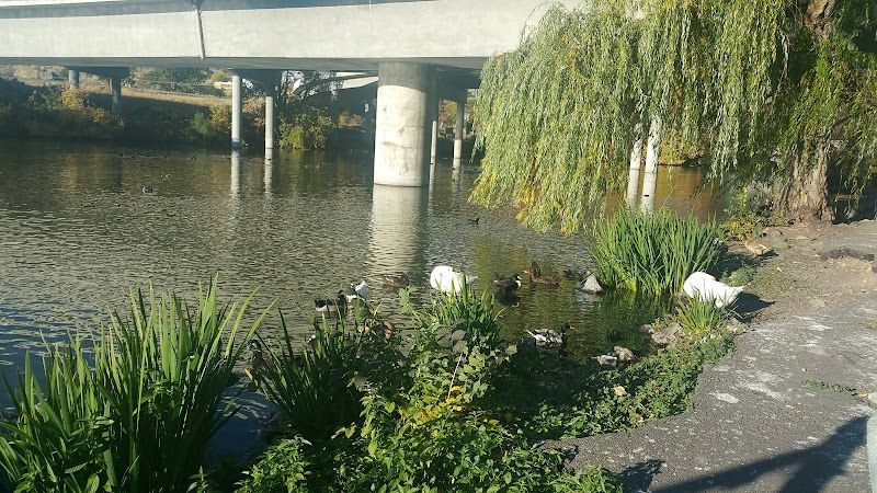 Photo of River Park Inn