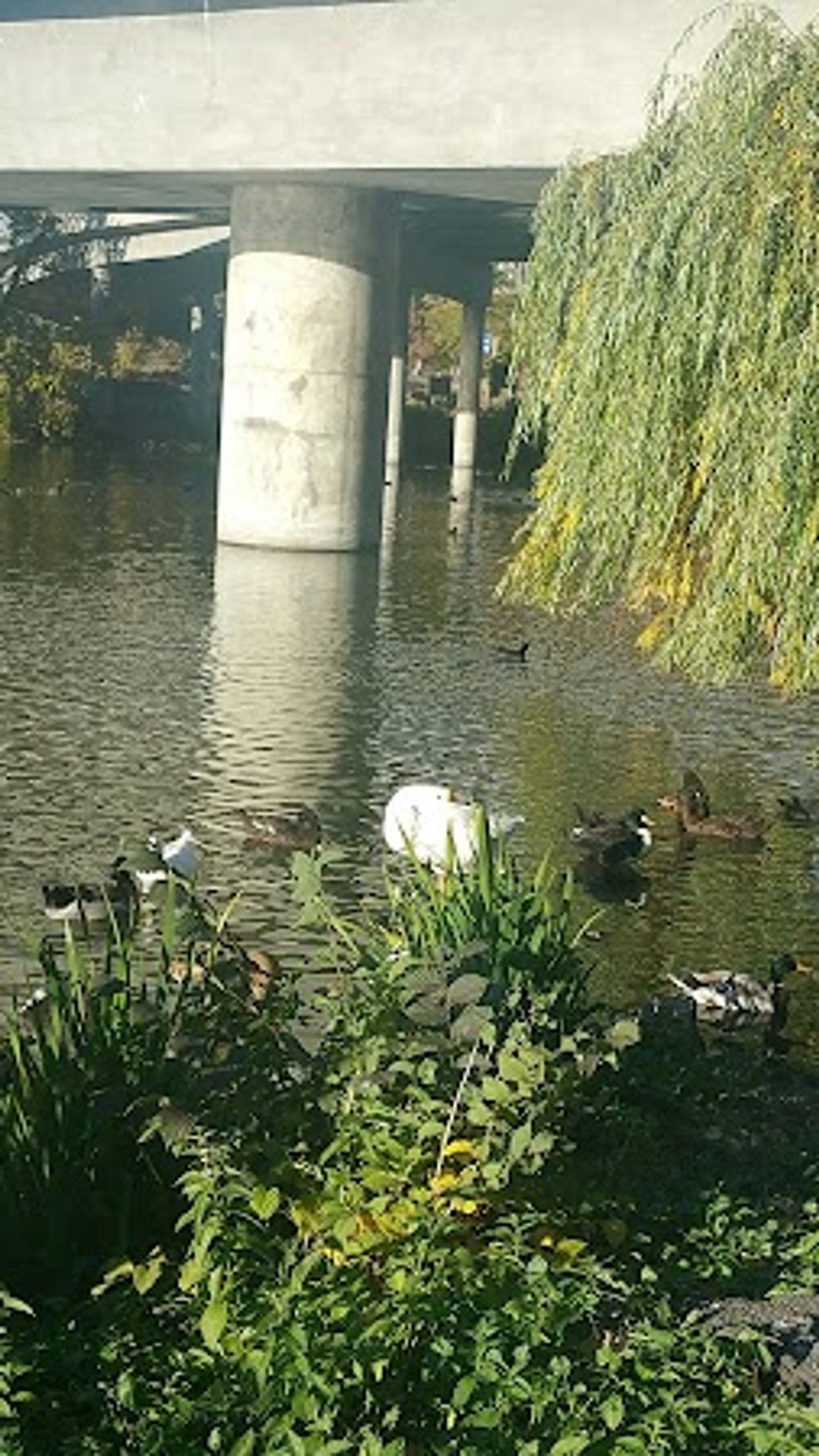Photo of River Park Inn