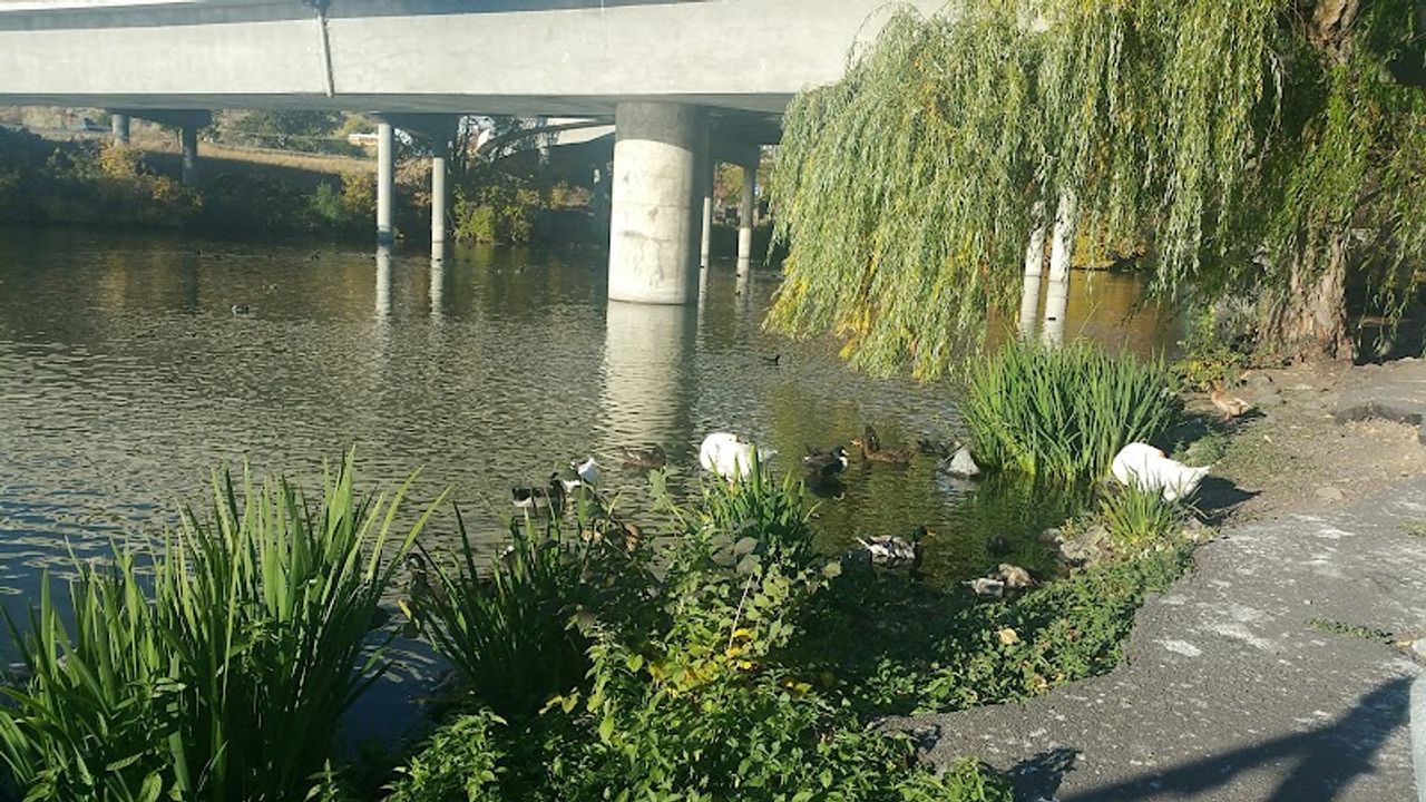 Photo of River Park Inn