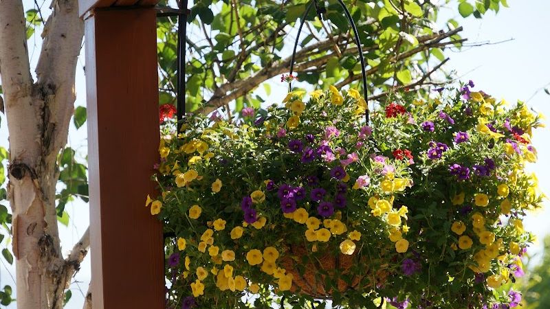 Photo of R & R Guesthouse