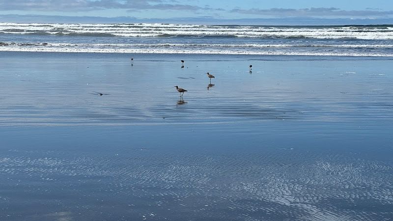 Photo of Inn at the Shore