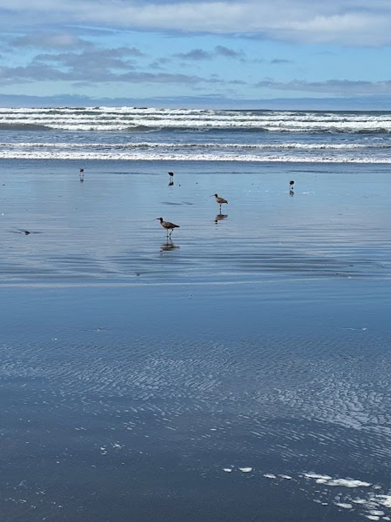 Photo of Inn at the Shore