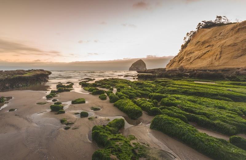 Photo of Surf & Sand Inn