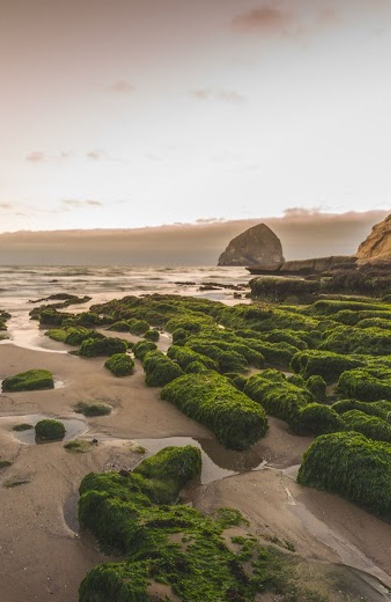 Photo of Surf & Sand Inn