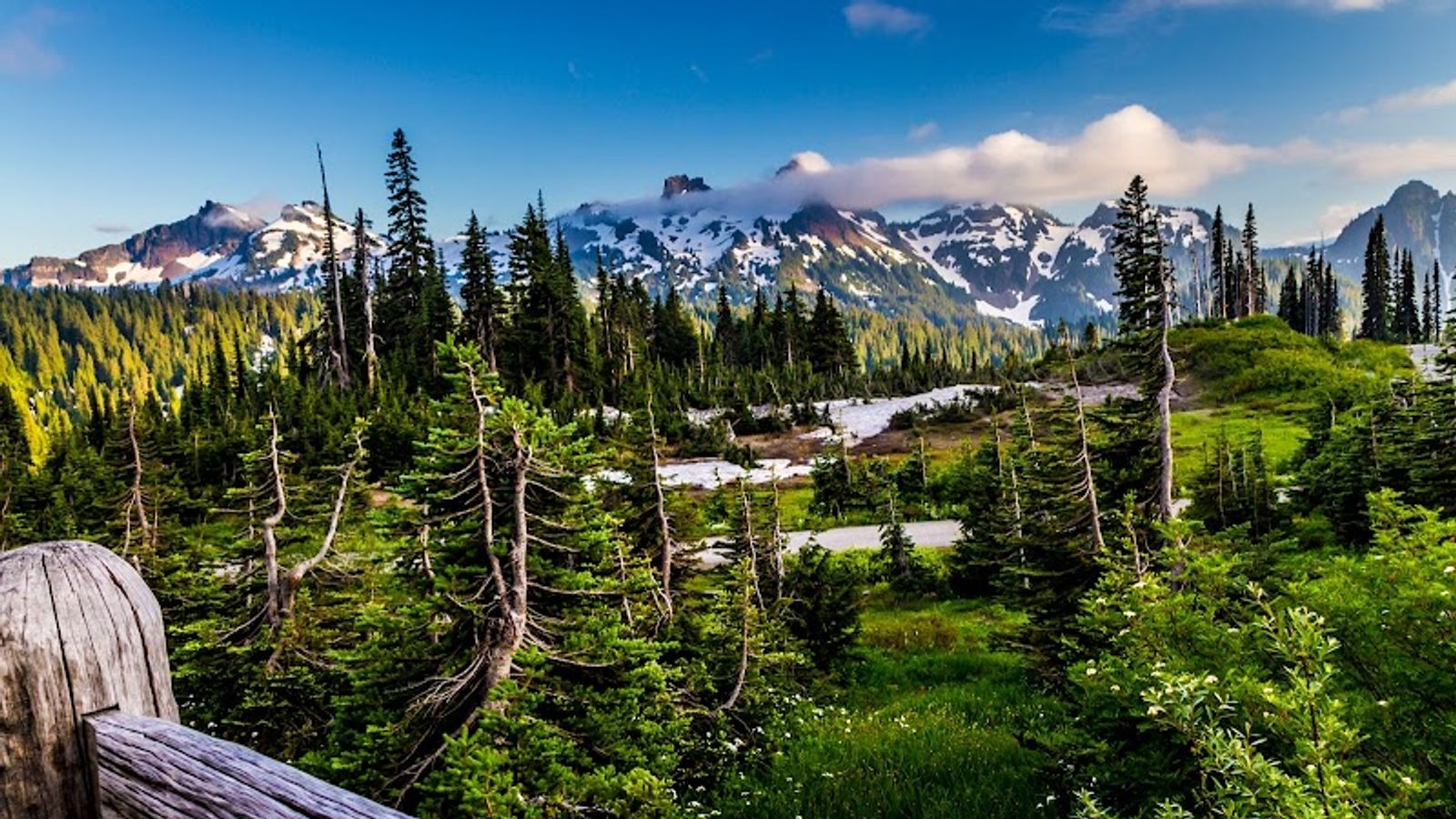 Photo of National Park Inn