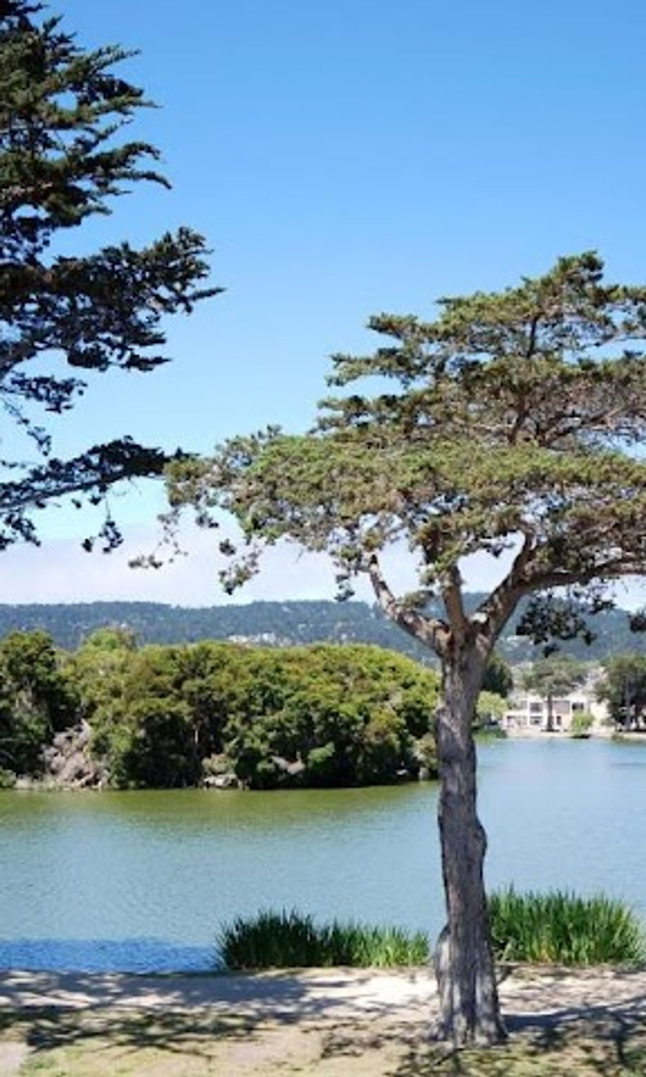 Photo of Monterey Bay Lodge - Exterior, Lake El Estero