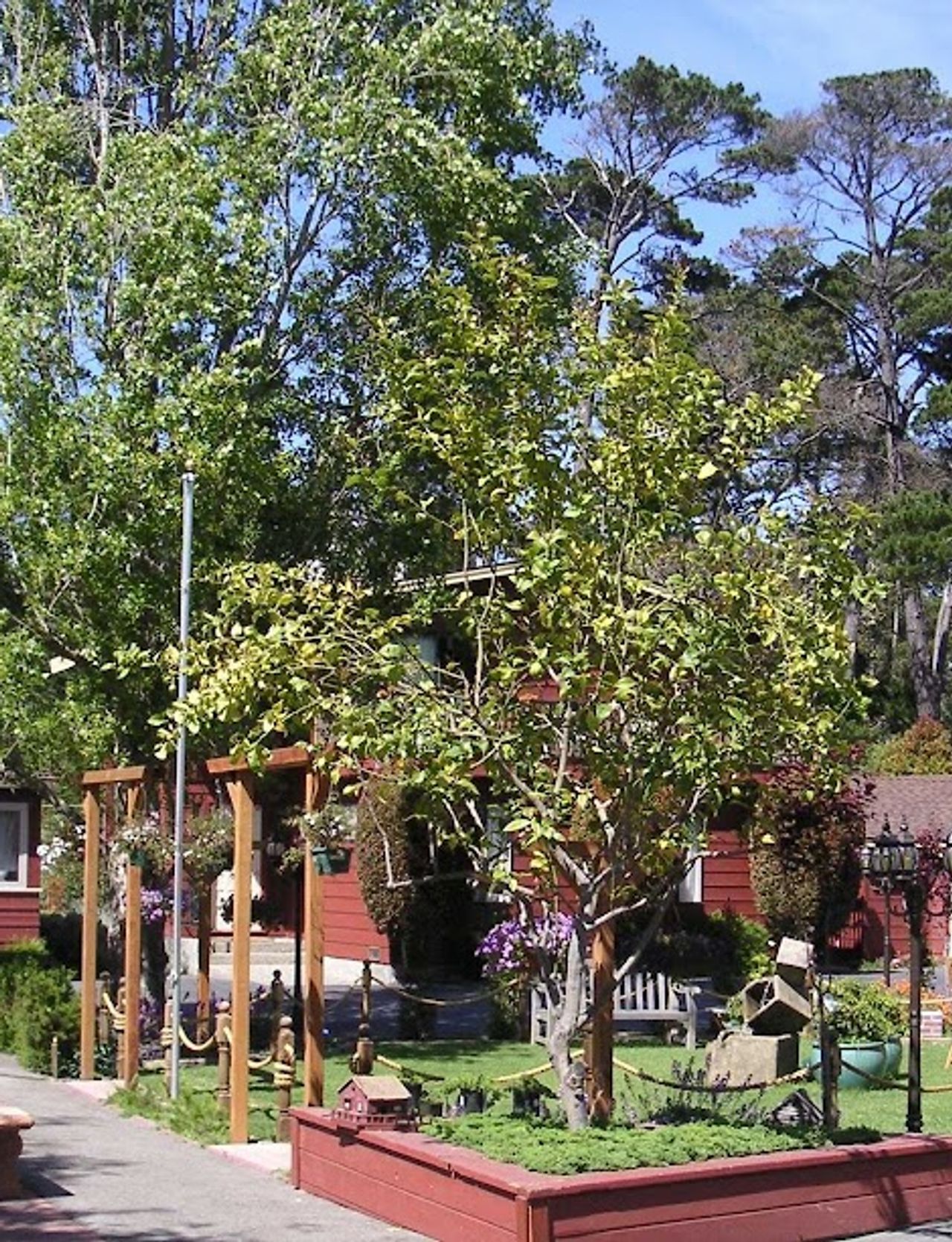 Photo of Andril Fireplace Cottages - Property grounds