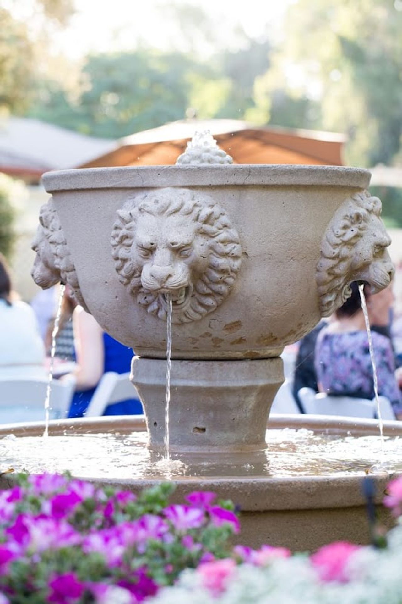 Photo of The Jack London Lodge