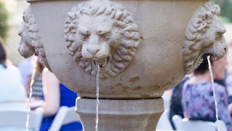 Photo of The Jack London Lodge