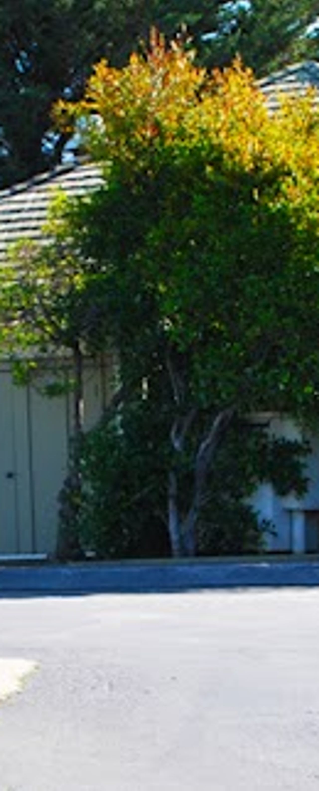 Photo of Marina Dunes RV Park