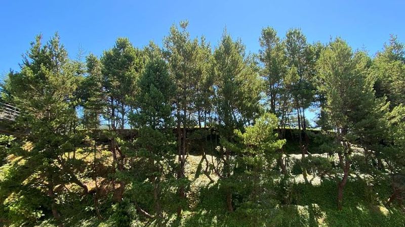 Photo of Best Western Plus Agate Beach Inn
