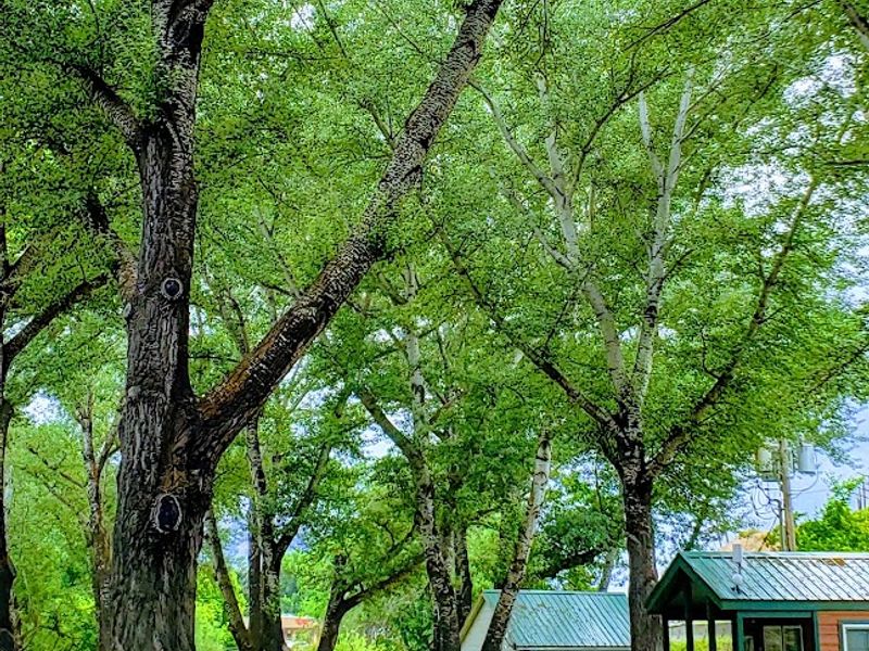 Photo of Lava Hot Springs East KOA Holiday