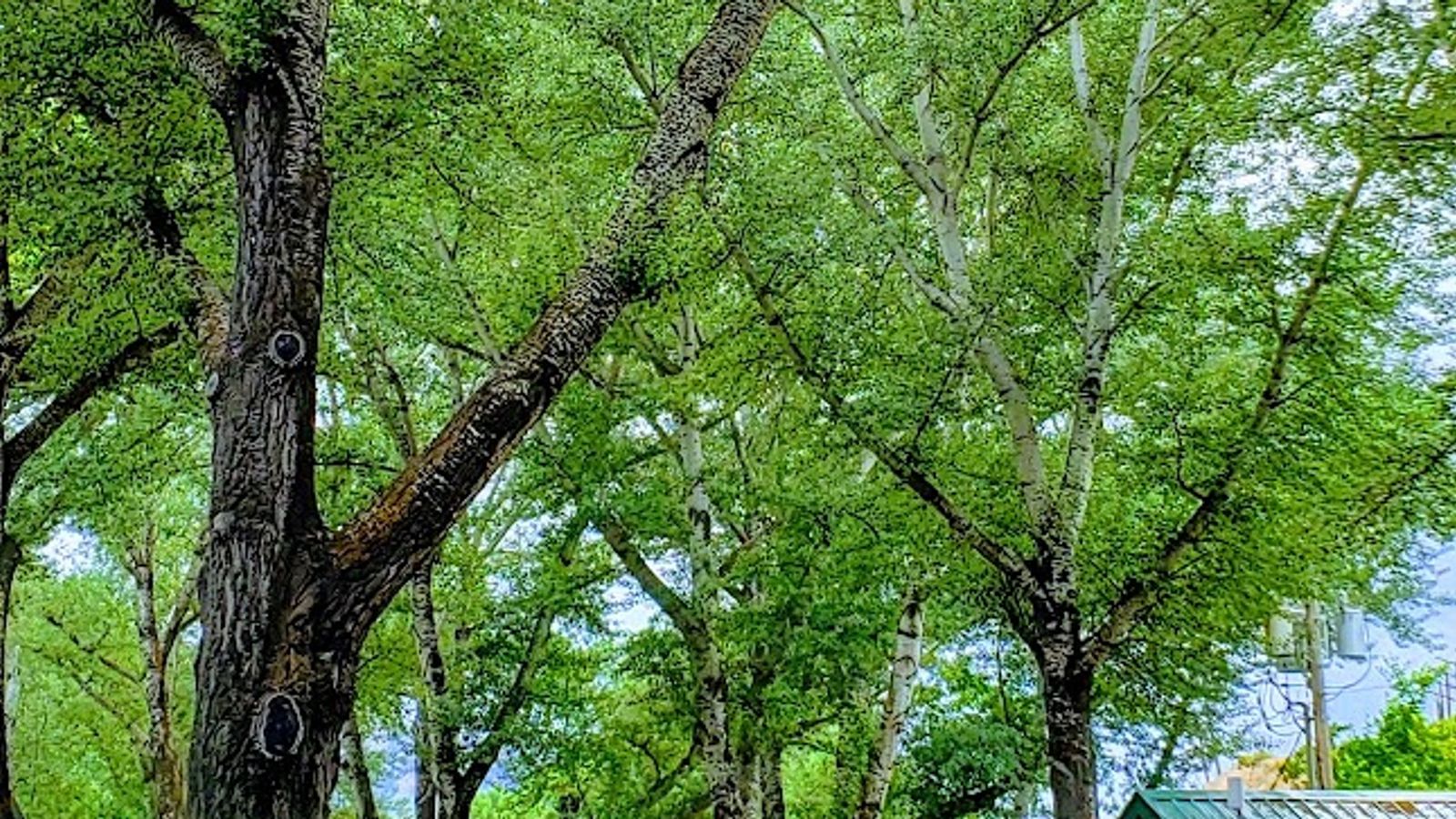 Photo of Lava Hot Springs East KOA Holiday