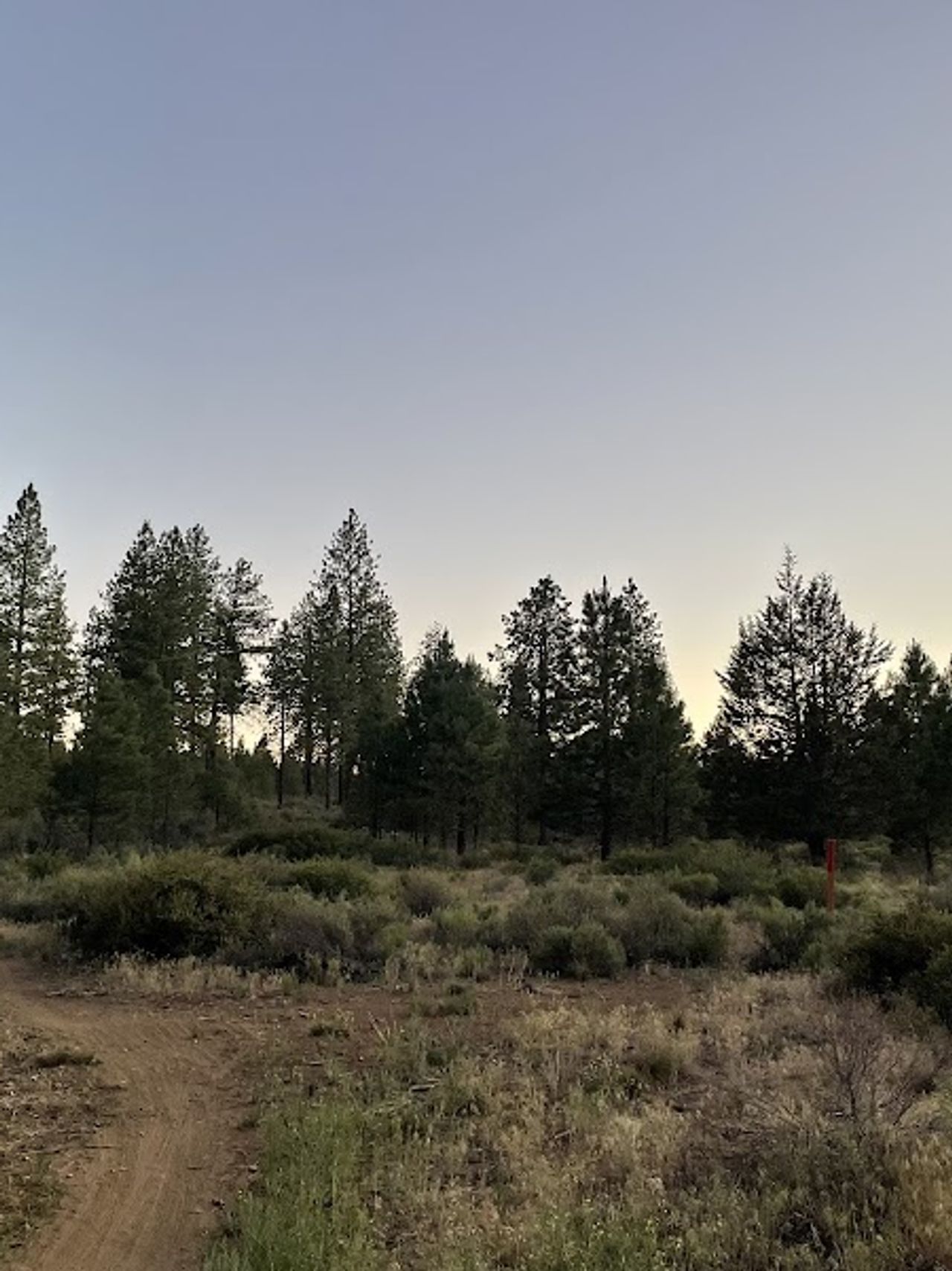 Photo of LOGE Bend