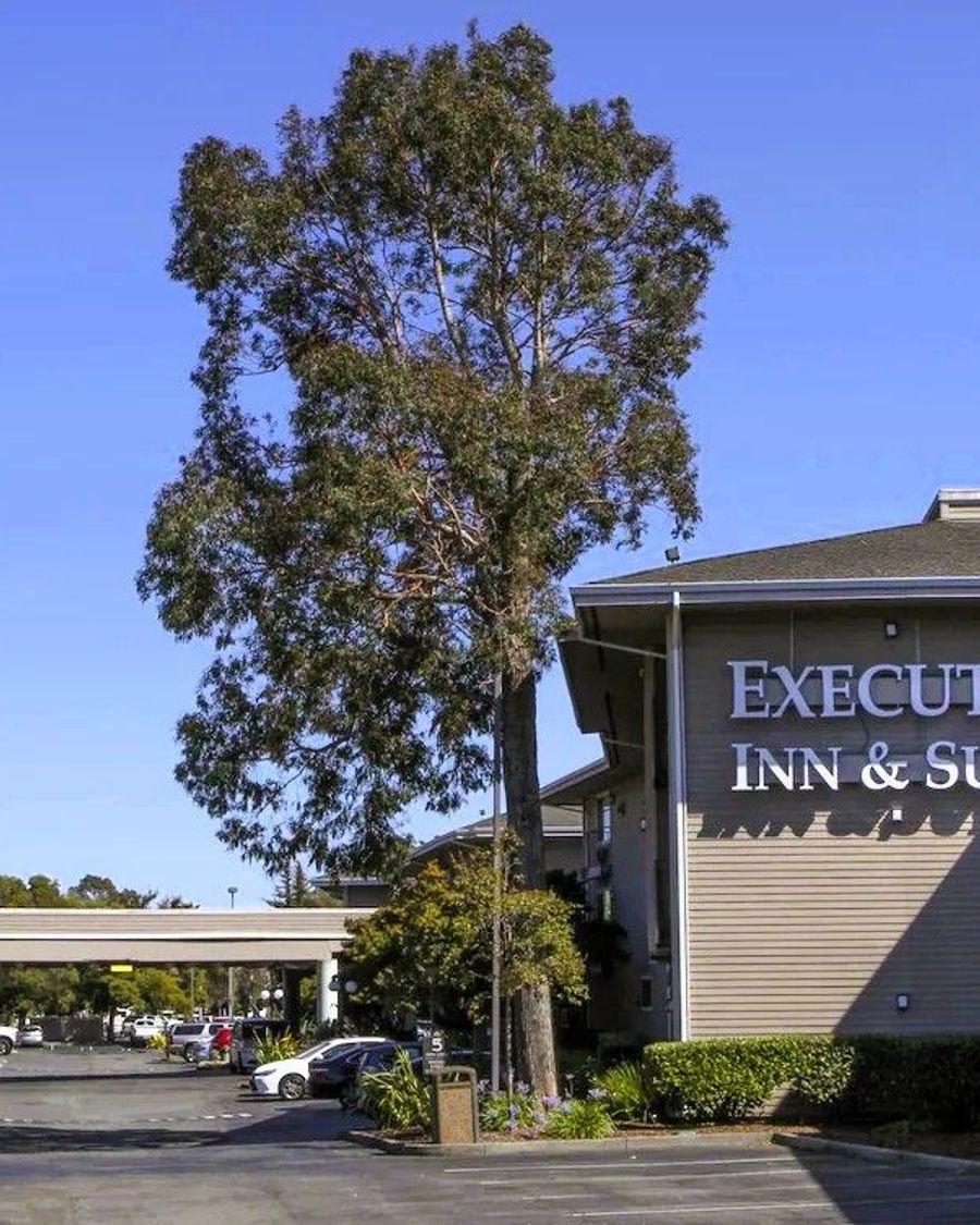 Executive Inn & Suites