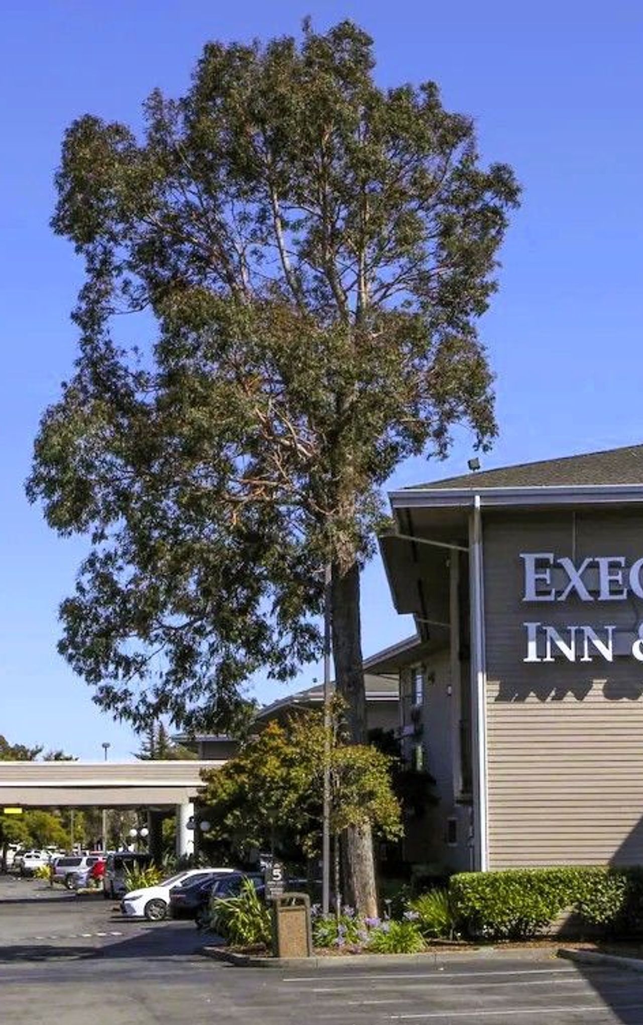 Executive Inn & Suites