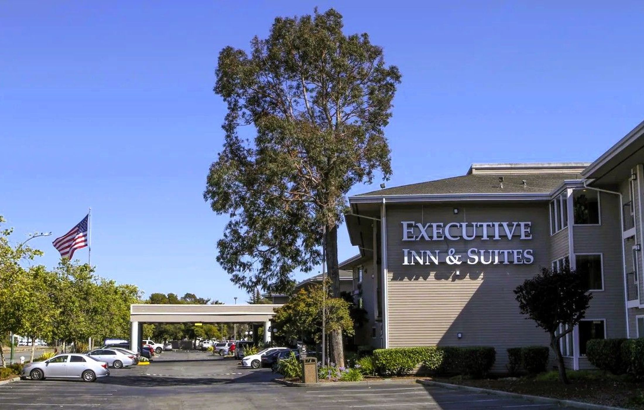 Executive Inn & Suites