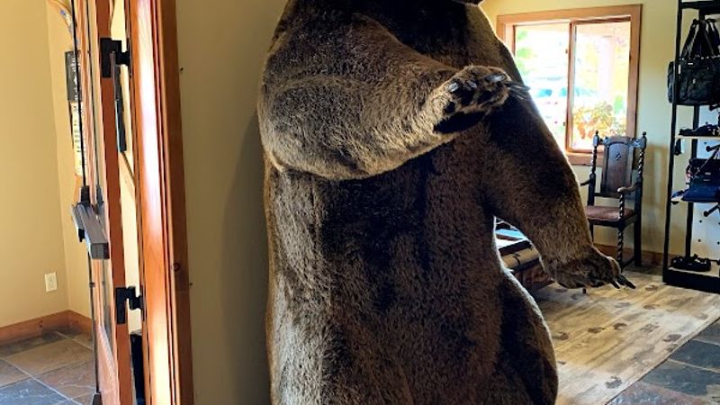 Photo of Bavarian Lodge