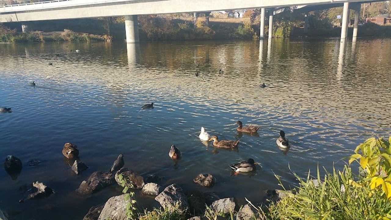 Photo of River Park Inn