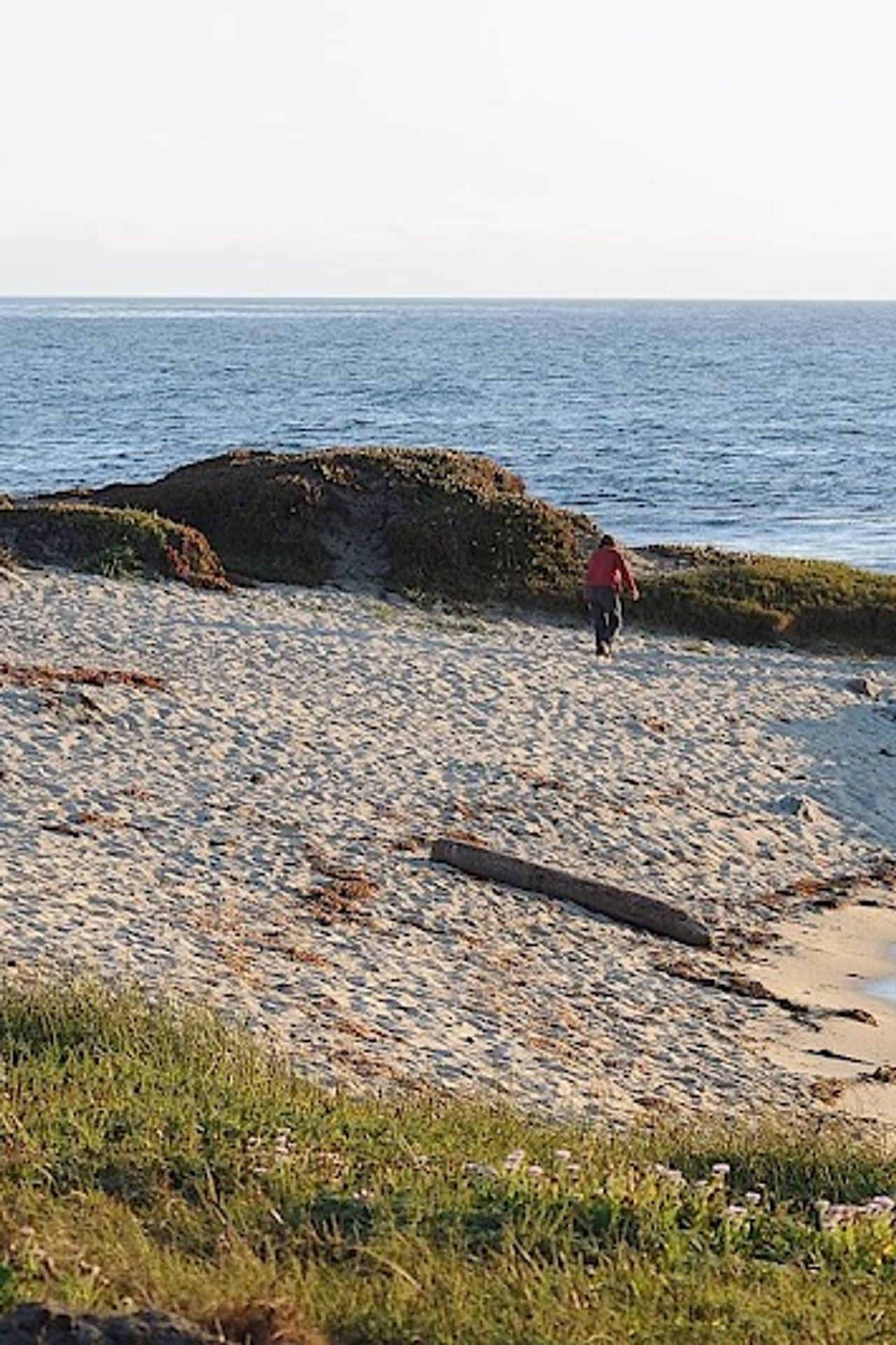 Photo of Sunset Inn - Beach Access to Asilomar State Beach