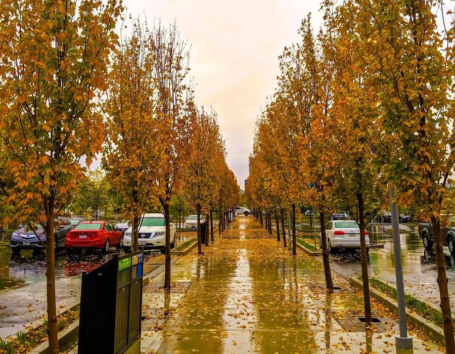 Google Building MP3, Bordeaux Drive, Sunnyvale, CA, USA