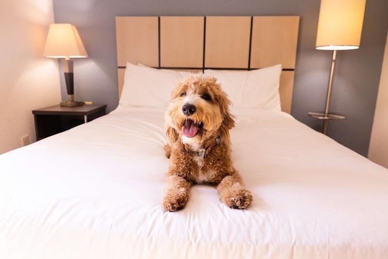 Photo of Sonesta Simply Suites Silicon Valley Santa Clara