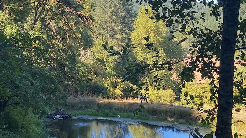 Photo of Inn the Ground