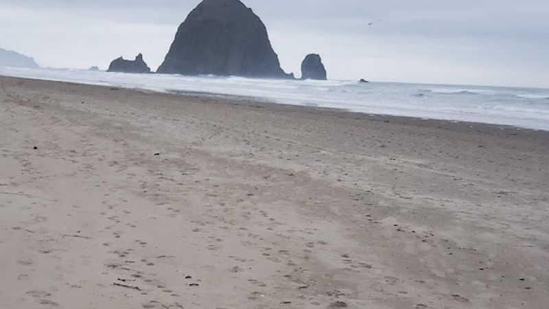 Photo of Guesthouse Inn