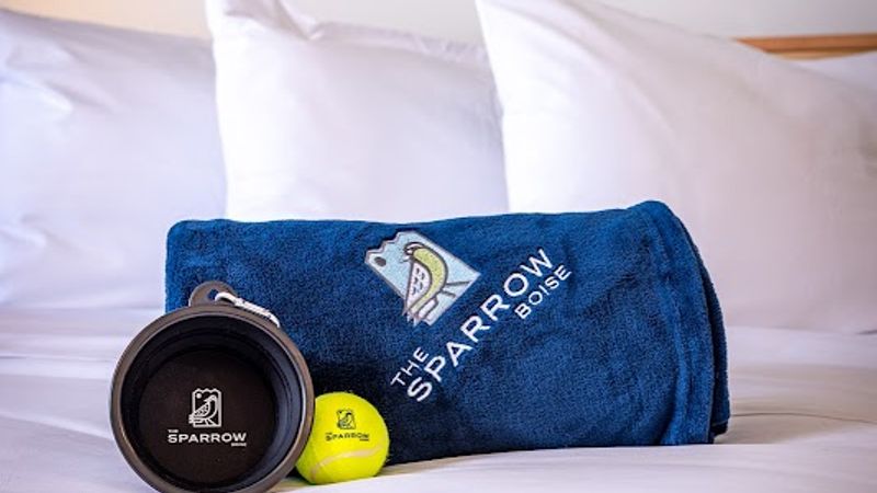 Photo of The SPARROW