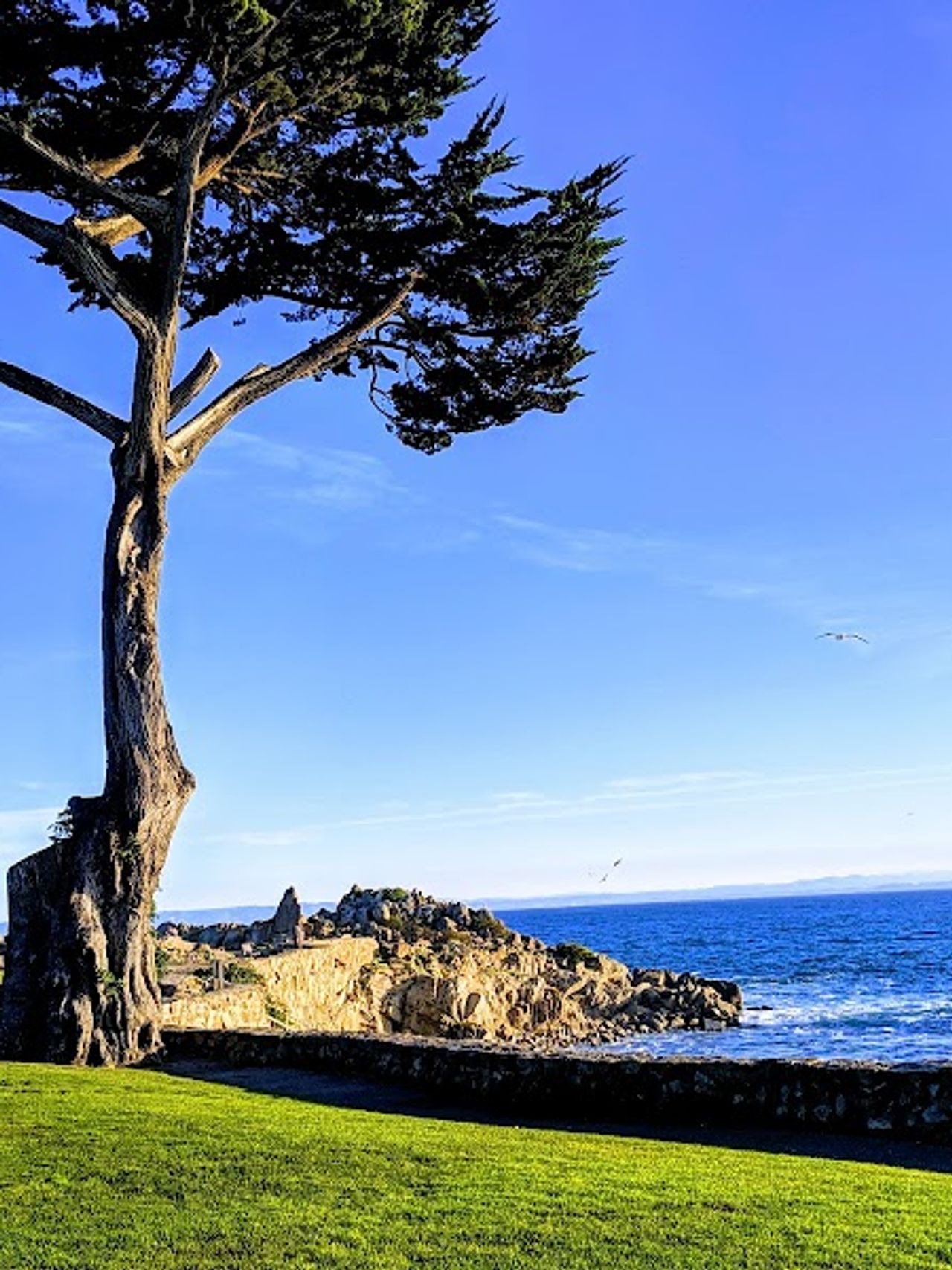 Photo of Lovers Point Inn - Lovers Point Beach