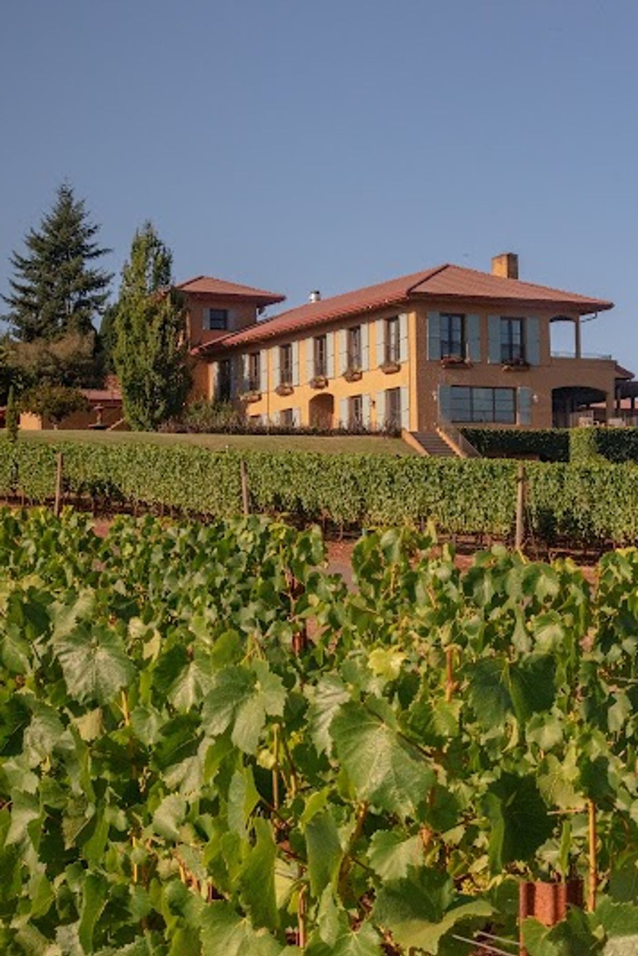 Photo of Black Walnut Inn & Vineyard - Exterior