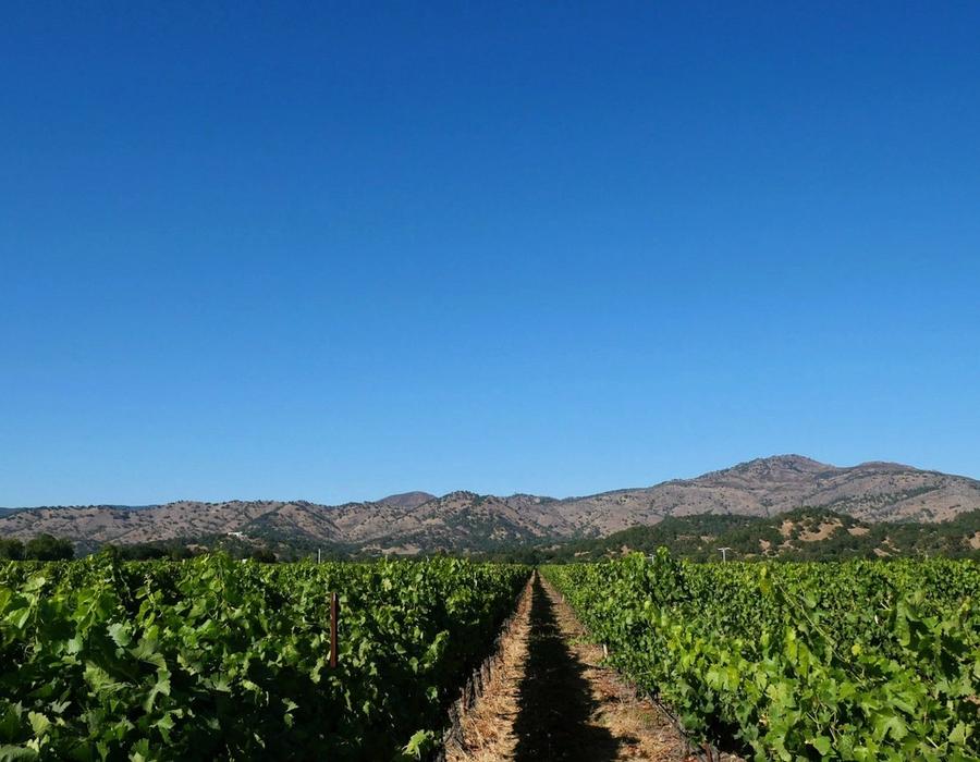 In the heart of wine country, Yountville, California, USA